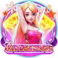 Wild Disco Night